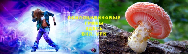 винт Алексин