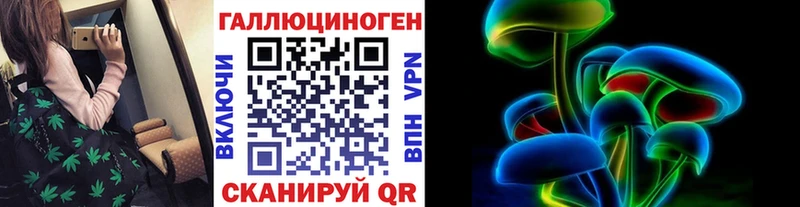 Псилоцибиновые грибы Psilocybine cubensis Кириллов